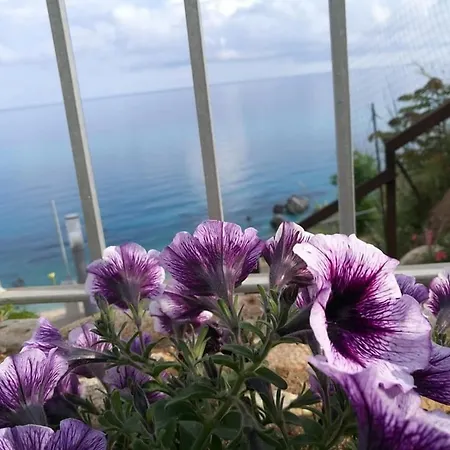 게스트하우스 Borgo Degli Dei - Poseidone 4*